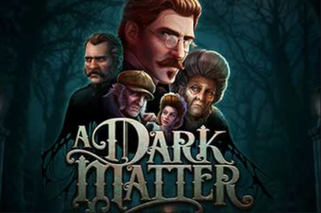 A Dark Matter
