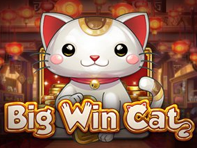 Big Win Cat