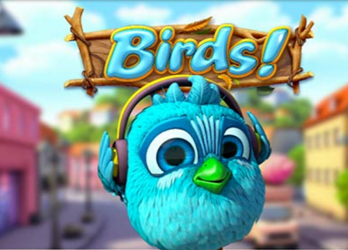 Birds!