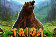 Taiga