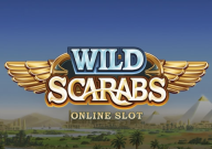 Wild Scarabs